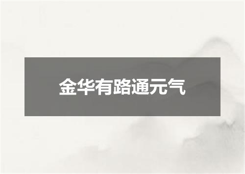 金华有路通元气