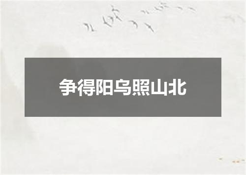 争得阳乌照山北