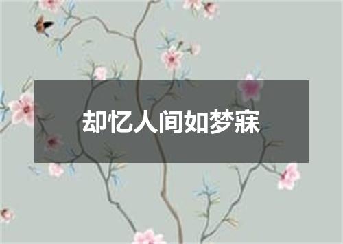 却忆人间如梦寐