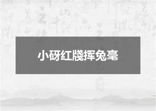 小砑红牋挥兔毫