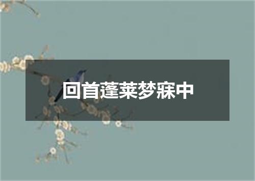 回首蓬莱梦寐中
