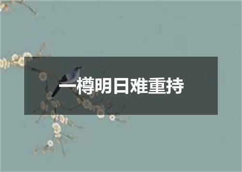 一樽明日难重持