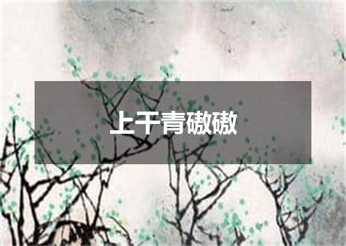 上干青磝磝
