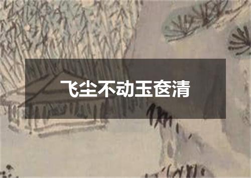 飞尘不动玉奁清