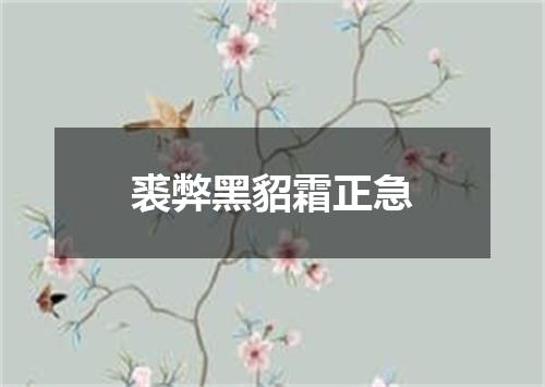 裘弊黑貂霜正急