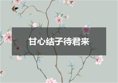 甘心结子待君来