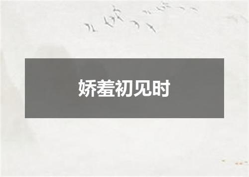娇羞初见时