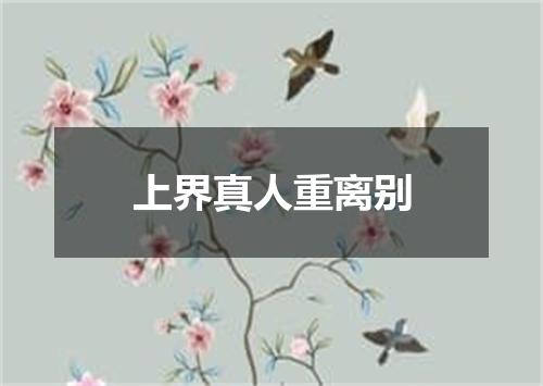 上界真人重离别