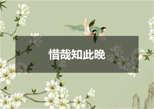 惜哉知此晚
