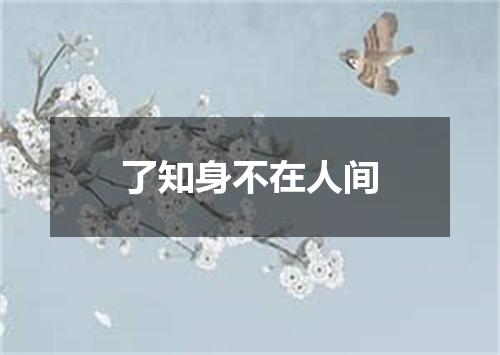 了知身不在人间