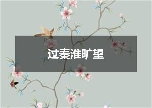 过秦淮旷望