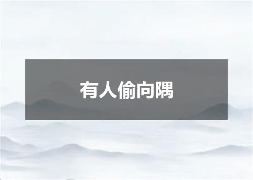 有人偷向隅