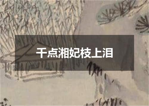 千点湘妃枝上泪