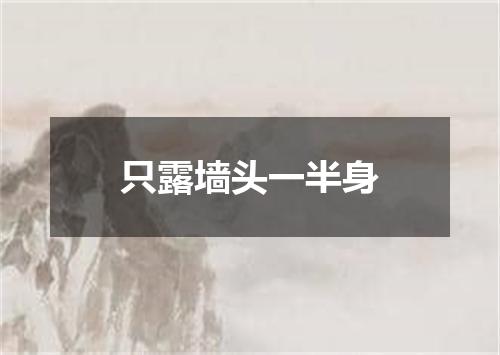 只露墙头一半身