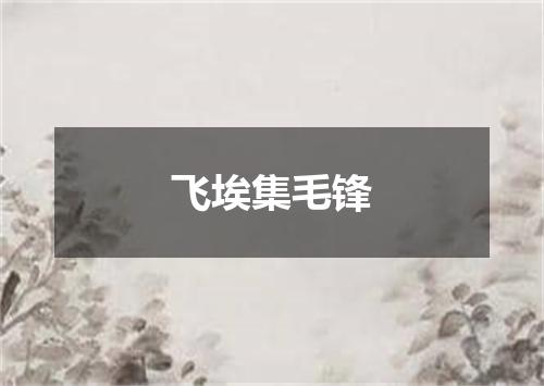 飞埃集毛锋