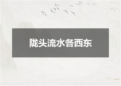 陇头流水各西东