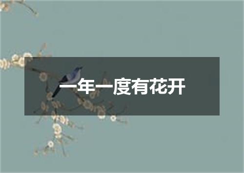 一年一度有花开