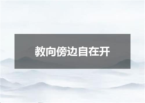 教向傍边自在开