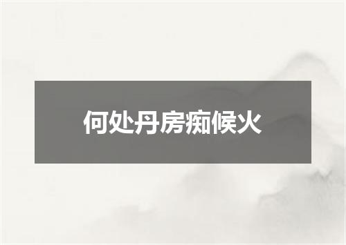 何处丹房痴候火