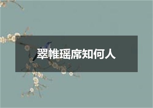 翠帷瑶席知何人