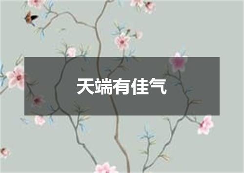 天端有佳气
