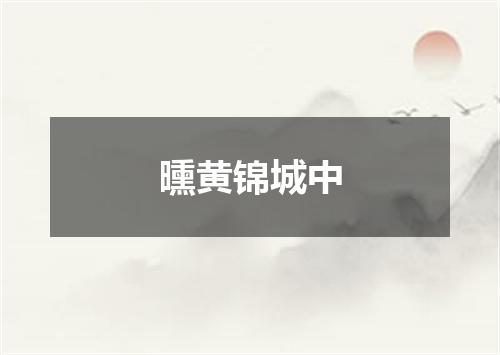 曛黄锦城中