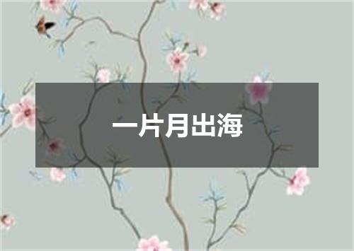 一片月出海