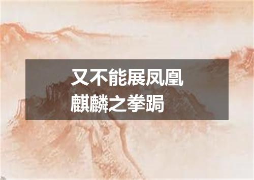 又不能展凤凰麒麟之拳跼
