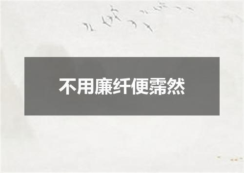 不用廉纤便霈然