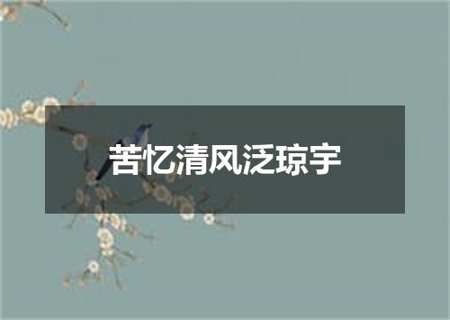苦忆清风泛琼宇