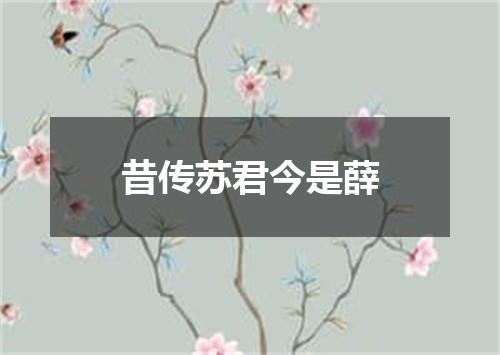 昔传苏君今是薛