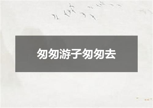 匆匆游子匆匆去
