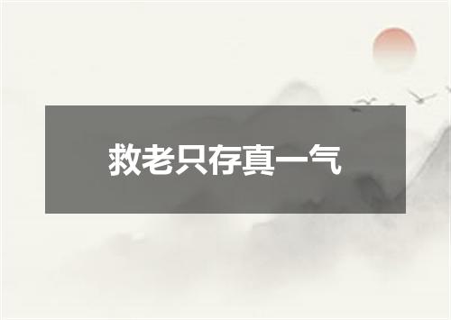 救老只存真一气