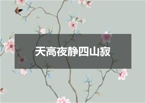 天高夜静四山寂