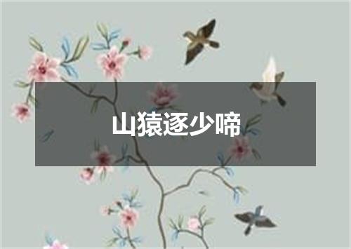 山猿逐少啼
