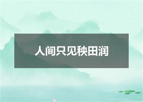 人间只见秧田润