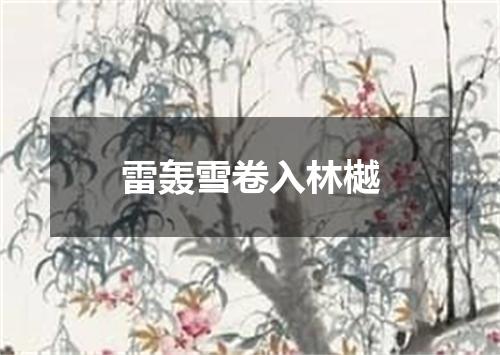雷轰雪卷入林樾