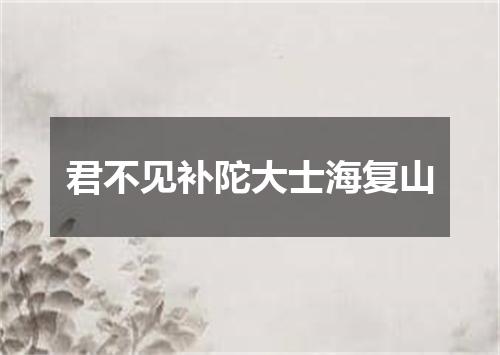 君不见补陀大士海复山