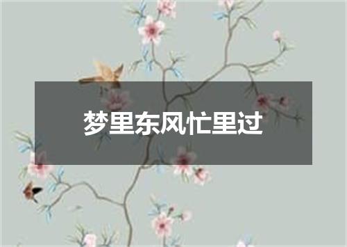 梦里东风忙里过
