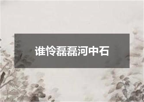 谁怜磊磊河中石