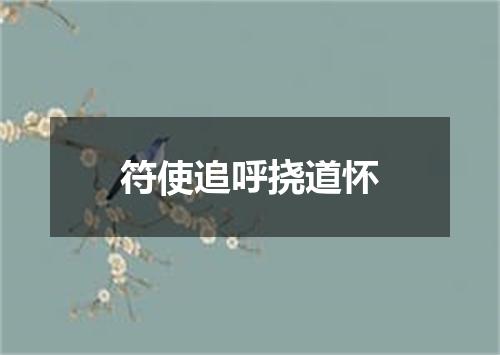 符使追呼挠道怀