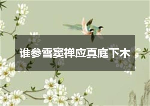 谁参雪窦禅应真庭下木