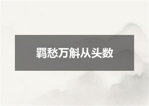 羁愁万斛从头数