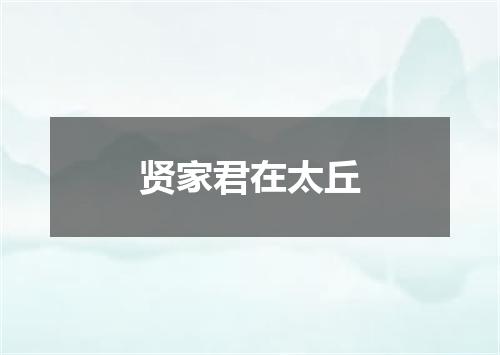 贤家君在太丘