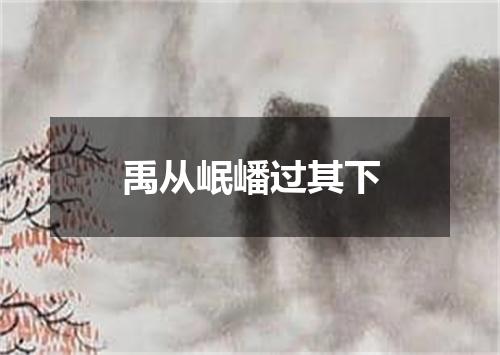 禹从岷嶓过其下