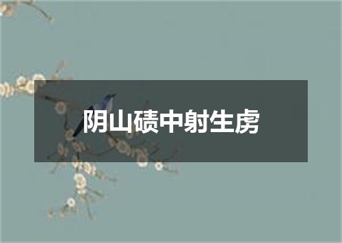 阴山碛中射生虏