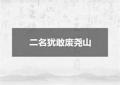 二名犹敢废尧山