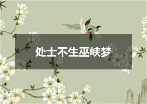 处士不生巫峡梦