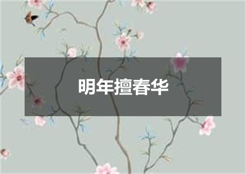 明年擅春华