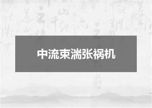 中流束湍张祸机